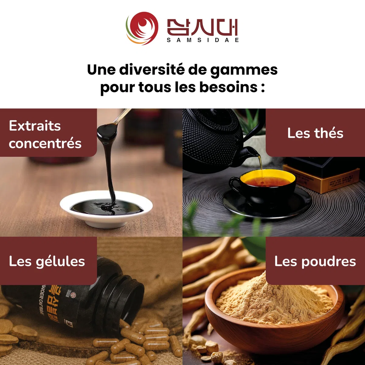 SAMSIDAE - Ginseng Rouge & Gingembre Coréen, Ginseng titré 10 mg/g, Énergie, digestion, immunité, Cuillère incluse,Qualité Supérieure, Cure de 1 mois, 50g