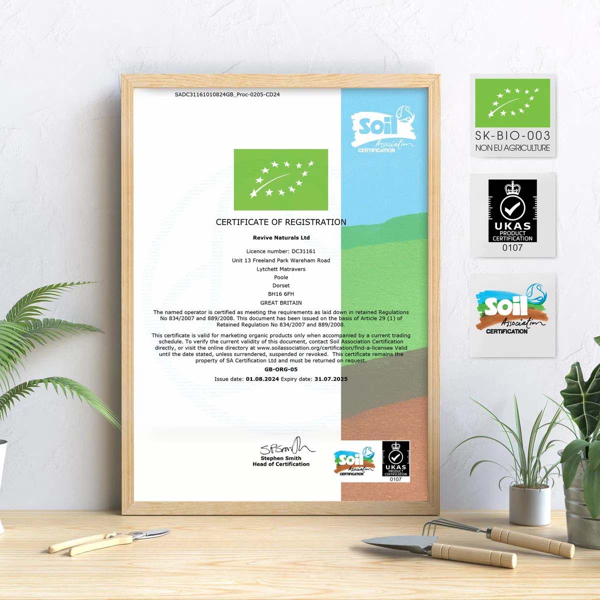 Poudre de chlorella bio 200 g - Paroi cellulaire cassée - Complément alimentaire pur sans additifs - Sachet refermable et recyclable - par Alpha01