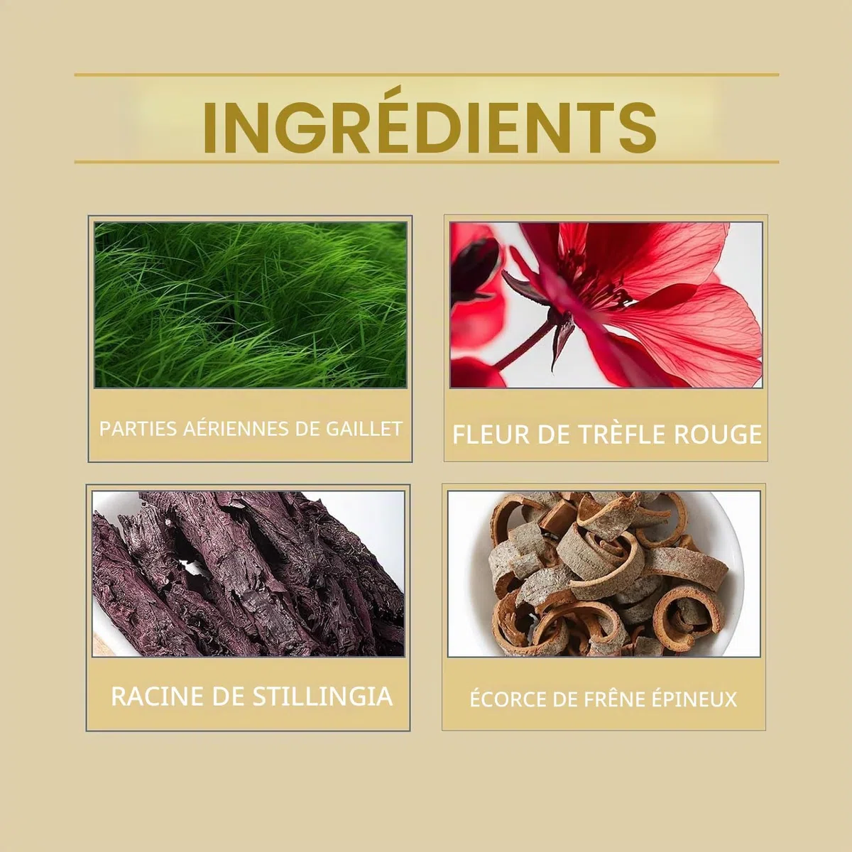 Gouttes de Drainage Lymphatique Lymphoria, Gouttes de Bien-être Lymphoria, Support du Système Lymphatique, Mélanges à Base de Plantes Naturelles, Rapide et Efficace, pour Femmes et Hommes (2 pièces)