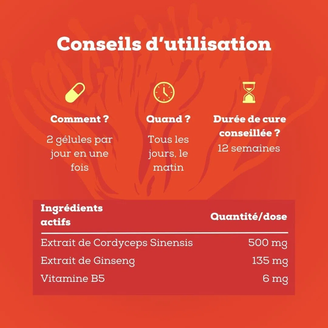 Cordyceps - Complexe Adaptogène Boost Energie & Libido - Avec Ginseng & Vitamine B5-56 Gélules Vegan - Sans Gluten ni Lactose