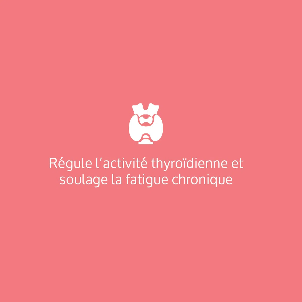 Complément Alimentaire, Régulation Optimale de la Thyroïde | Iode, Selenium, Zinc, Fer, Vitamines B1, B2 | L-Tyrosine, Avoine | Vegan, Extraits Végétaux BIO | Complement Fabriqué en France