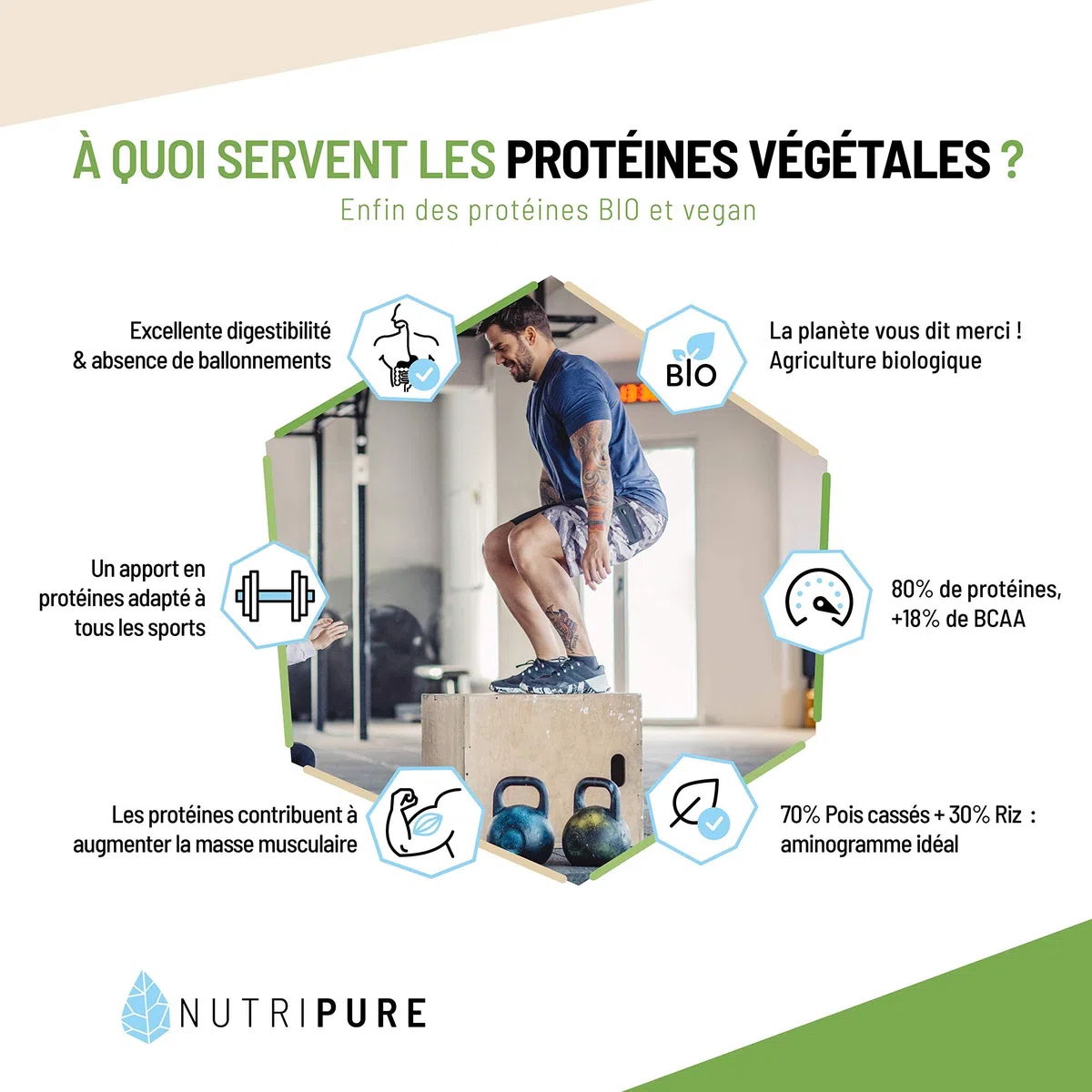 Nutripure | Protéine Vegan Bio | Neutre | Complément Alimentaire Sport & Musculation | Protéine Végétale de Pois et de Riz, BCAA, EAA | 750gr | 15 à 30 portions | Made in France
