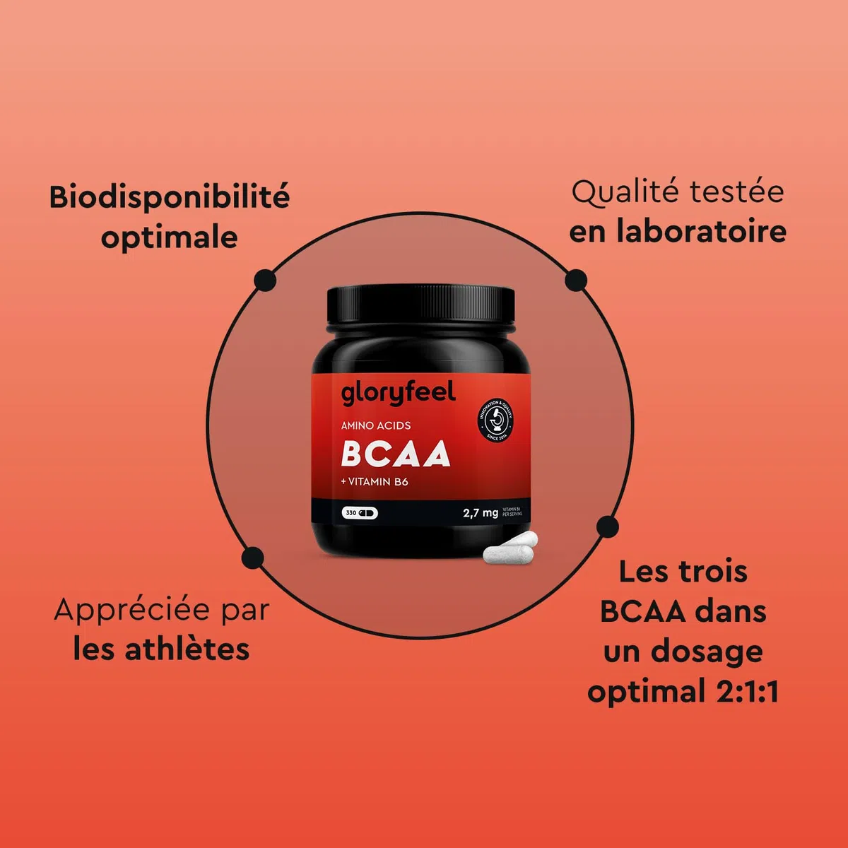 BCAA (330 Capsules), Acides Aminés Essentiels Fortement Dosée, Contient Leucine, Valine et Isoleucine avec Vitamine B6, Hautement Biodisponible, Contre la Fatigue*, Sans Arômes et Additifs