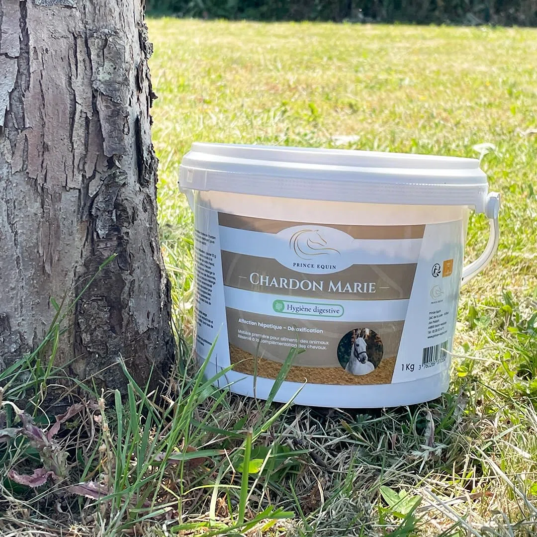 Chardon Marie - Complément nutritionnel Cheval - Seau 1 kg - Détoxification Foie Cheval - Élimination des toxines - Marque Française