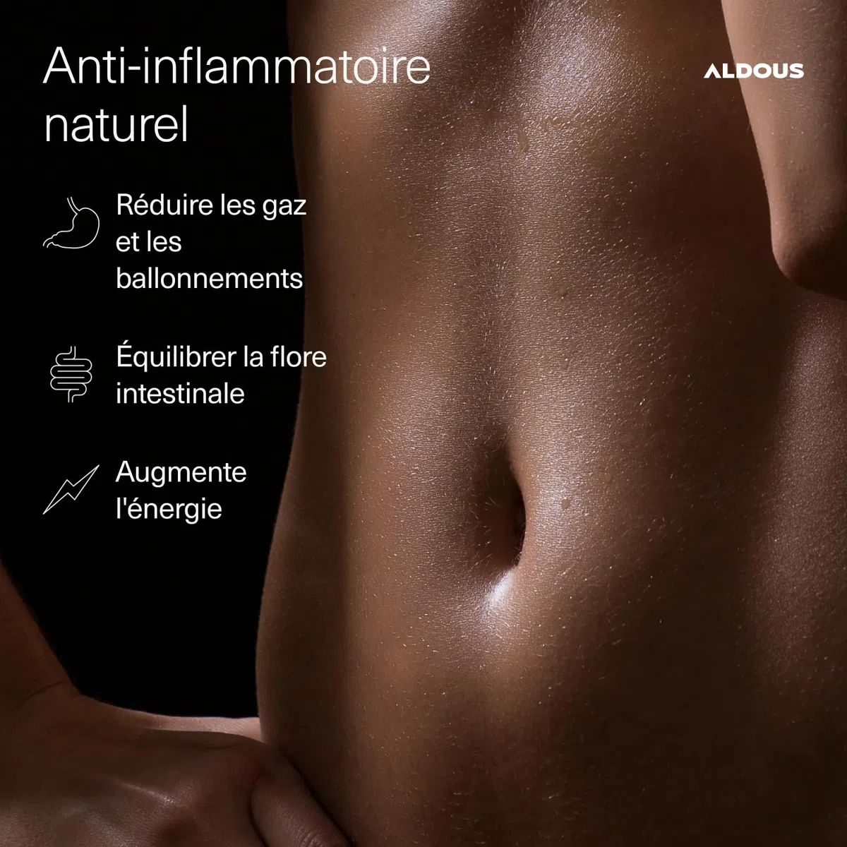 250 Gélules PROBIOTIQUES + Curcuma BIO au Gingembre et Poivre Noir - 1460mg - Curcuma à base de Curcumine et Pipérine - Anti-inflammatoire Naturel - Formule Avancée - Certifié Bio - ALDOUS