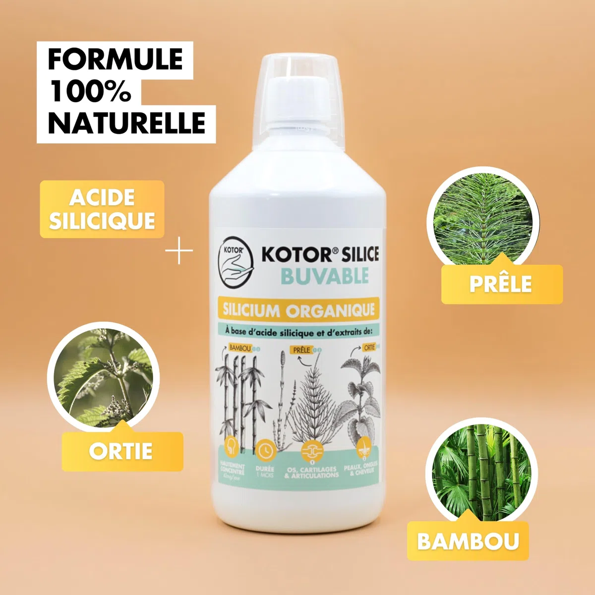 KOTOR SILICE BUVABLE 1L | Silicium Organique Francais & Naturel | Fortement Dosé | Santé des Articulations, Cartilages, Os, Peau, Cheveux, Ongles | Silicium + Ortie + Prêle + Bambou | 1 mois