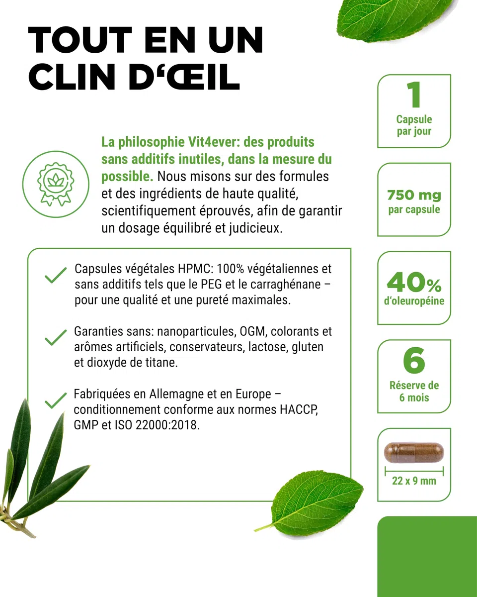 vit4ever Extrait de Feuilles d'Olivier - 180 capsules de 750 mg chacune - Extrait de Feuilles d'Olivier avec 40% d'Oleuropéine = 300 mg - Fortement Dosé - Vegan