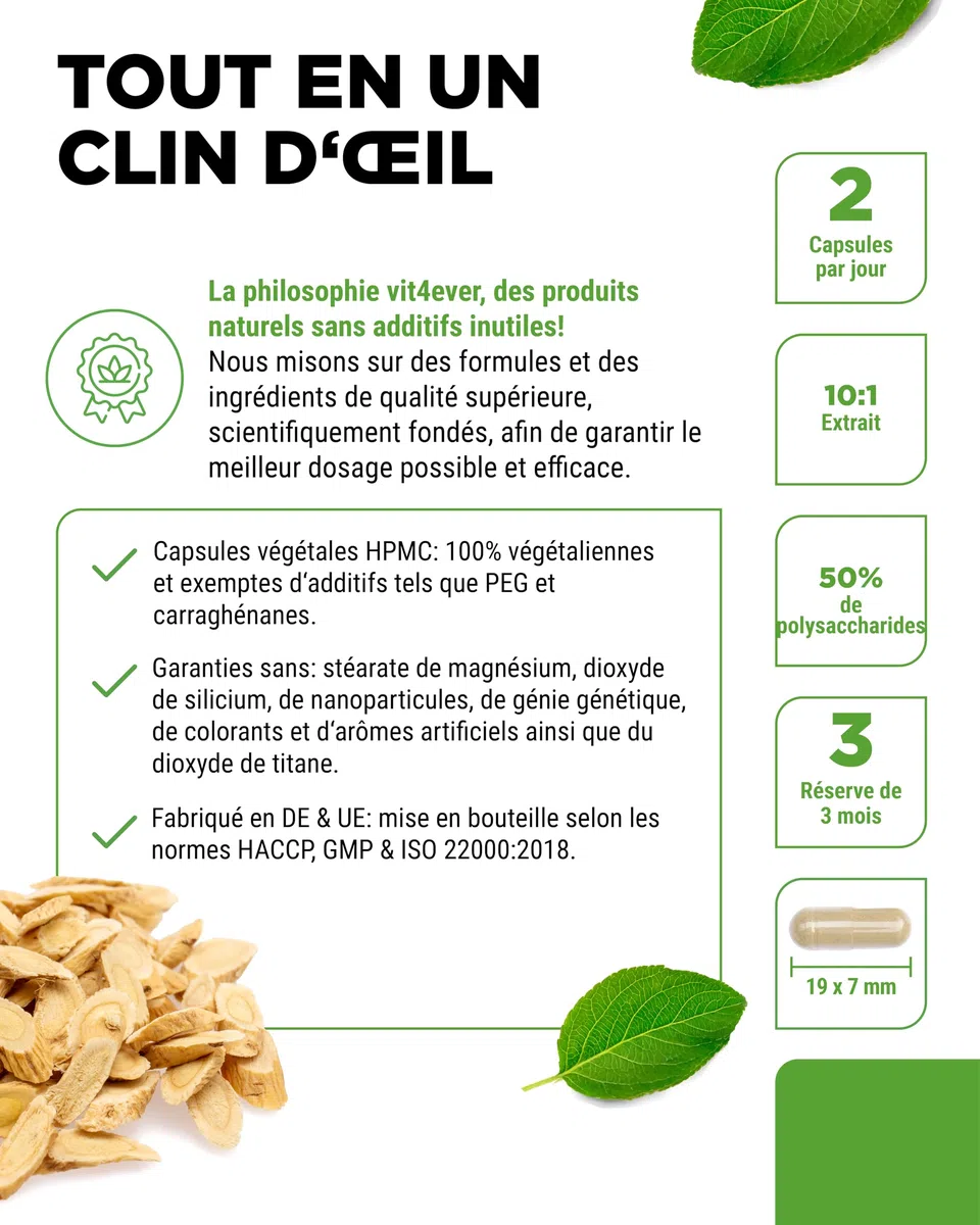 vit4ever Astragalus - Hautement Dosé avec 1400 mg d'Extrait pur par Jour - 180 capsules - Premium : 50% Polysaccharides - Extrait pur de Gomme Adragante - Sans Additifs Indésirables - Vegan