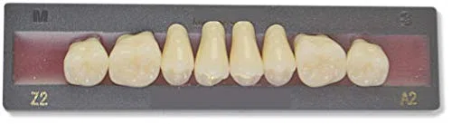 Dents Artificielles HAUT - POSTÉRIEUR DU HAUT (8 dents)