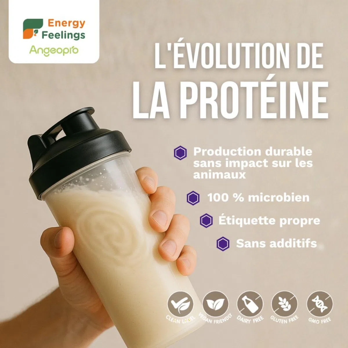 Energy Feelings Protéine Végétale de Levure Nutritionnelle 80%, Vegan Protein Powder, Protéine en Poudre Goût Neutre Sans Sucre Ajouté et Sans Lactose pour Musculation, Naturelle, 1kg