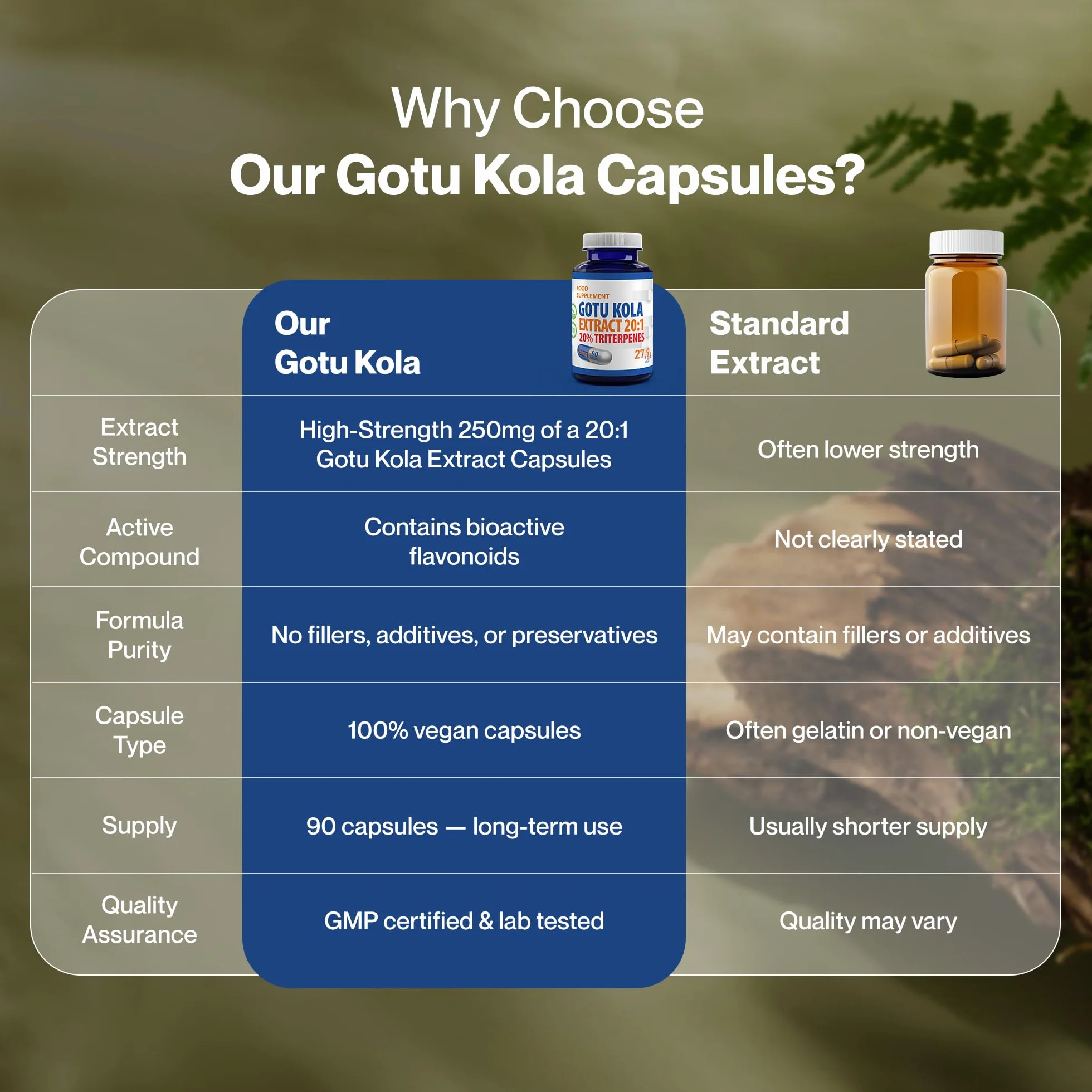 Hepatica Gotu Kola (Centella Asiatica) 5.000 mg Équivalent | Extrait 20:1 250 mg Standardisé à 20% de Triterpènes | 90 Gélules Véganes | Réserve 3 Mois | GMP & laboratoire indépendant