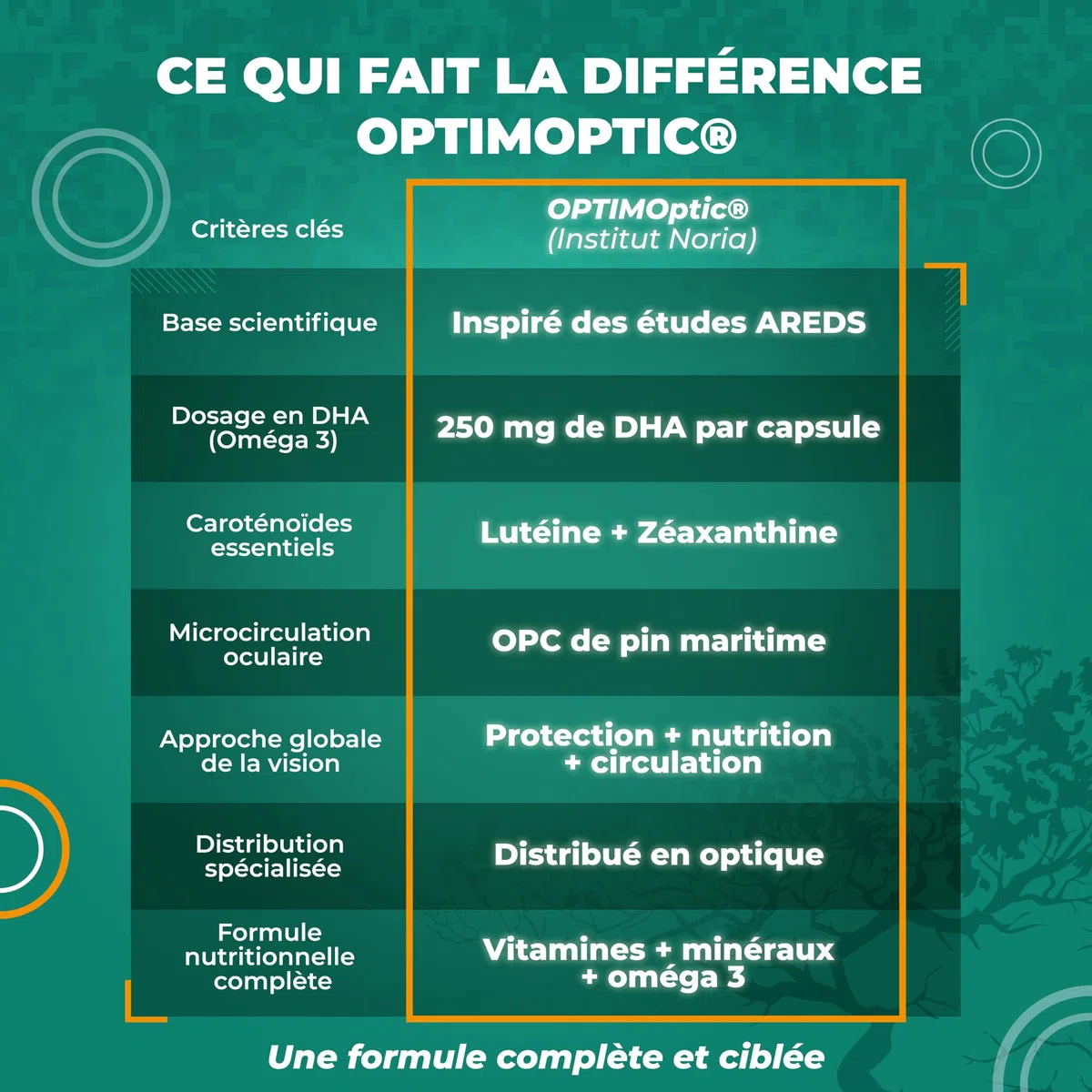 Vision Écrans & Lumière Bleue – Complément Alimentaire Yeux – Fatigue Visuelle, Confort Visuel, Vision – Oméga 3 DHA, Lutéine, Zéaxanthine – 60 Capsules