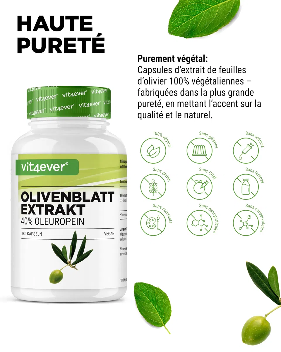 vit4ever Extrait de Feuilles d'Olivier - 180 capsules de 750 mg chacune - Extrait de Feuilles d'Olivier avec 40% d'Oleuropéine = 300 mg - Fortement Dosé - Vegan