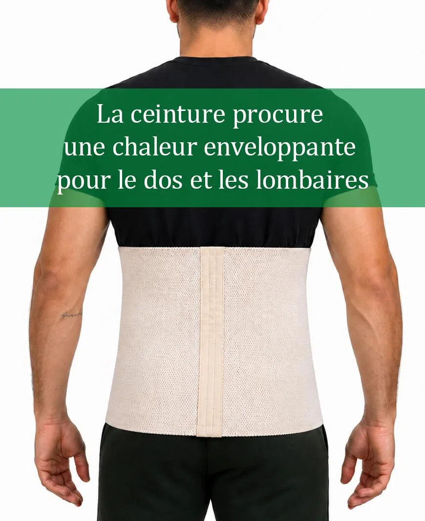 Ceinture Chauffante Dos et Reins, avec Laine Mérinos, Angora et Coton, Chauffe-reins Thermique élastique pour Femmes et Hommes, Chauffe-dos pour Dos et Taille (XX-Large)