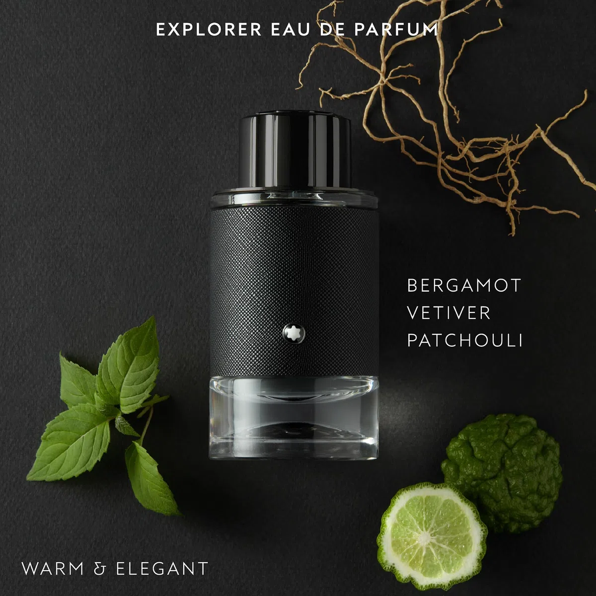 Explorer As Balm 150 Ml