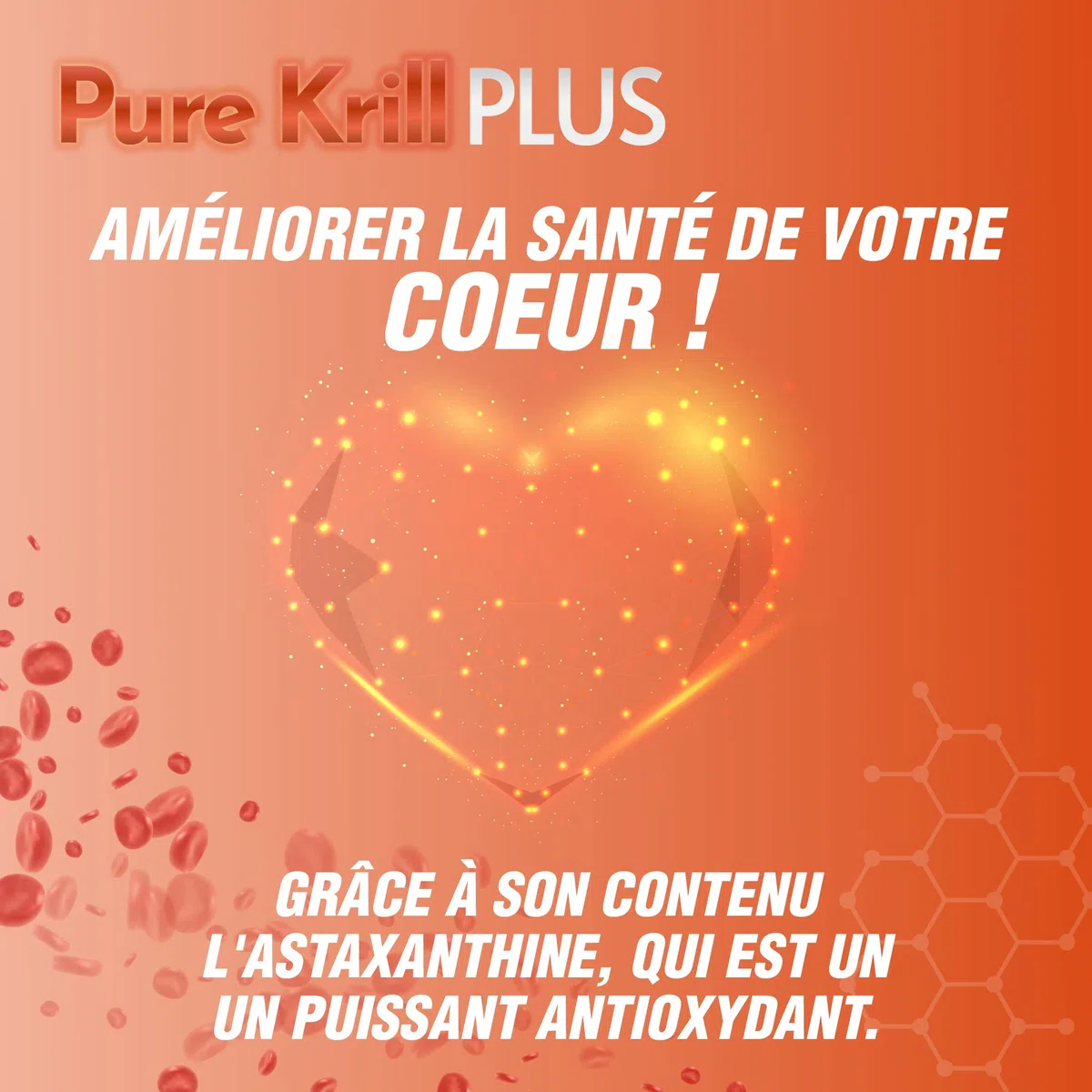 Huile de krill Pure unique + EPA/DHA + Astaxanthine bio-assimilée | Régule les niveaux de cholestérol et de triglycérides | Action cardio-protectrice, antioxydante et anti-inflammatoire | 60 gélules.