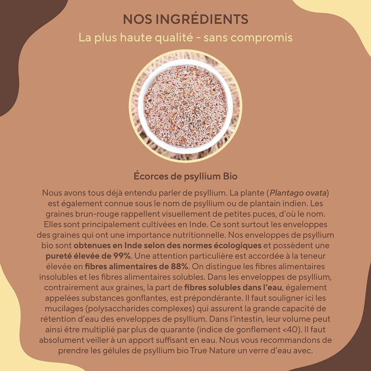 Psyllium Blond BIO | 4.500mg par jour - 360 Gélules pour 2 mois - Téguments purs à 99% - Riche en Fibres - Digestion & Fonction Intestinale - Vegan, Sans Additifs, Gluten & Lactose | TRUE NATURE