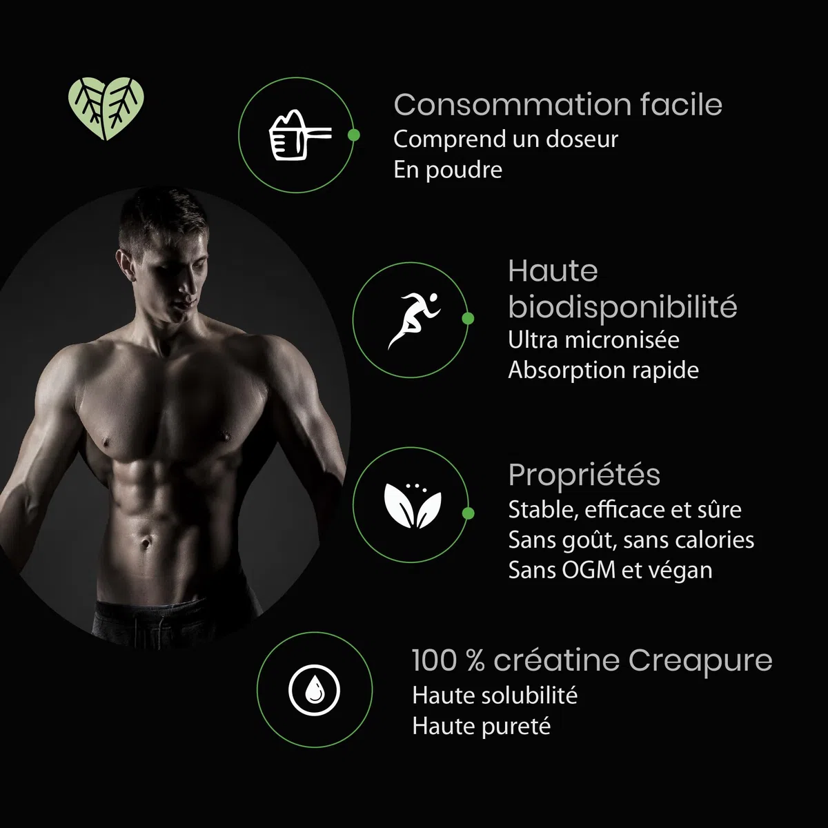 Foodelis Creatine Monohydrate Creapure 500g en poudre - 100% Creatine Creapure - Sans arôme, Non-OGM, Pure et sans additifs - Avec dosette incluse - Haute solubilité