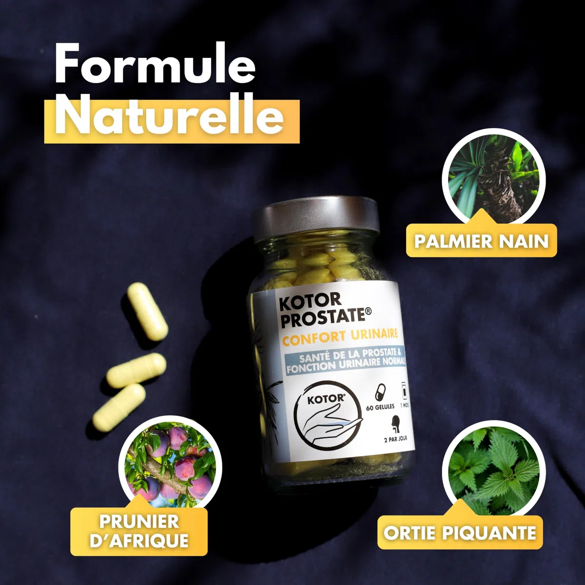 KOTOR PROSTATE | Troubles Urinaires, HBP, Envie Fréquente d’Uriner | Complexe Naturel & Français | Ortie Piquante + Palmier Nain + Prunier d’Afrique | 60 Gélules | 1 Mois