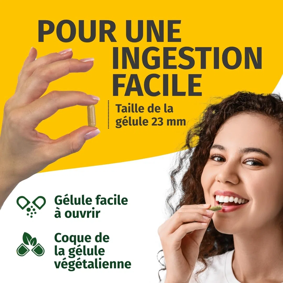Green Naturals® Bromélaïne – Hautement dosée : 750 mg (5 000 GDU/g) d’extrait naturel d’ananas – Gélules gastro-résistantes (DR Caps) – Vegan & testée en laboratoire – 150 gélules (5 mois)