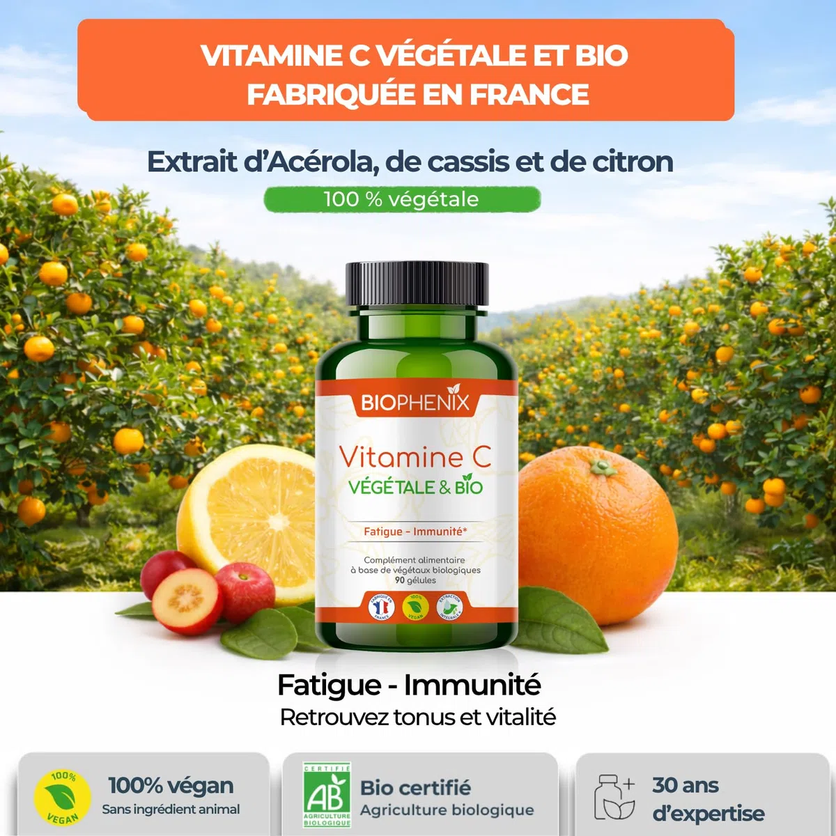 Biophénix Vitamine C Bio 100% Végétale 90 Gélules, Fatigue & Energie | Tonus et Vitalité, Procédé Exclusif Extraction Intégrale, 0% Excipient, 0% Additif, 0% Produit Chimique, Fabriqué en France