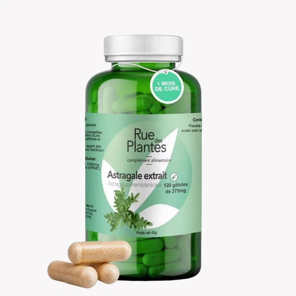 Astragale Extrait 120 Gélules – Cure 1 Mois | Soutien Immunitaire, Aide à la Vitalité et au Tonus Naturel, Plante Adaptogène | Conditionnée en France, RUE DES PLANTES