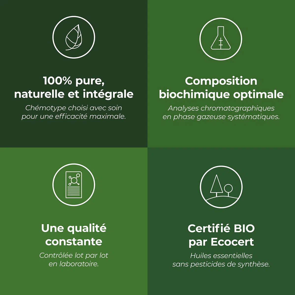 Hélichryse Italienne BIO (Helichrysum italicum - subsp. italicum) - 10 mL - Huile Essentielle Chémotypée et Certifiée AB - Aroma Labs - Made in France