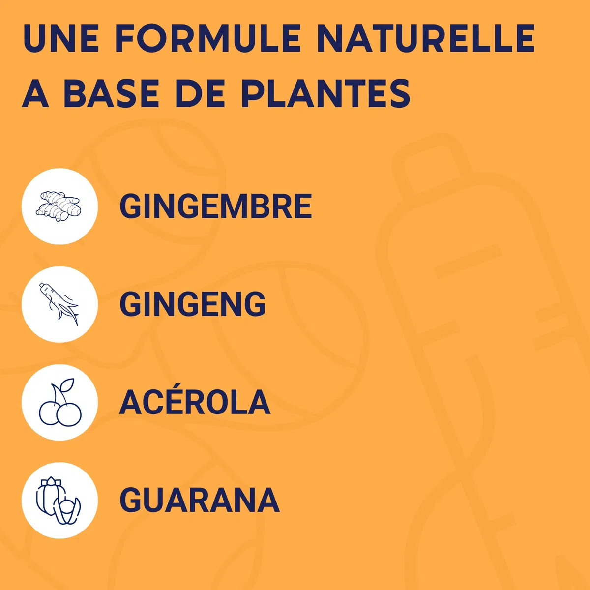 FORMULE BOOST BIO | 4G : Ginseng, Gelée royale, Guarana, Gingembre + Acérola | Complement Alimentaire Anti-Fatigue | Immunité et Energie | Fabriqué en France