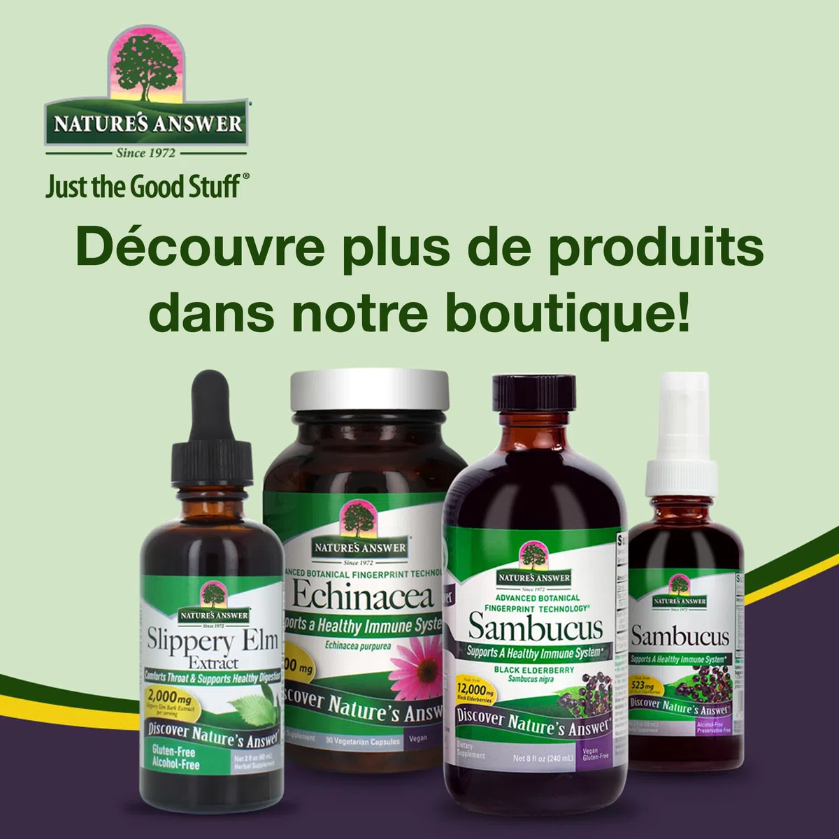 Nature's Answer, Hawthorn Extract (Extrait d'Aubépine), Sans Alcool, Gouttes végétaliennes, 30ml, Sans Gluten, Sans Soja, Végétarien, Sans OGM