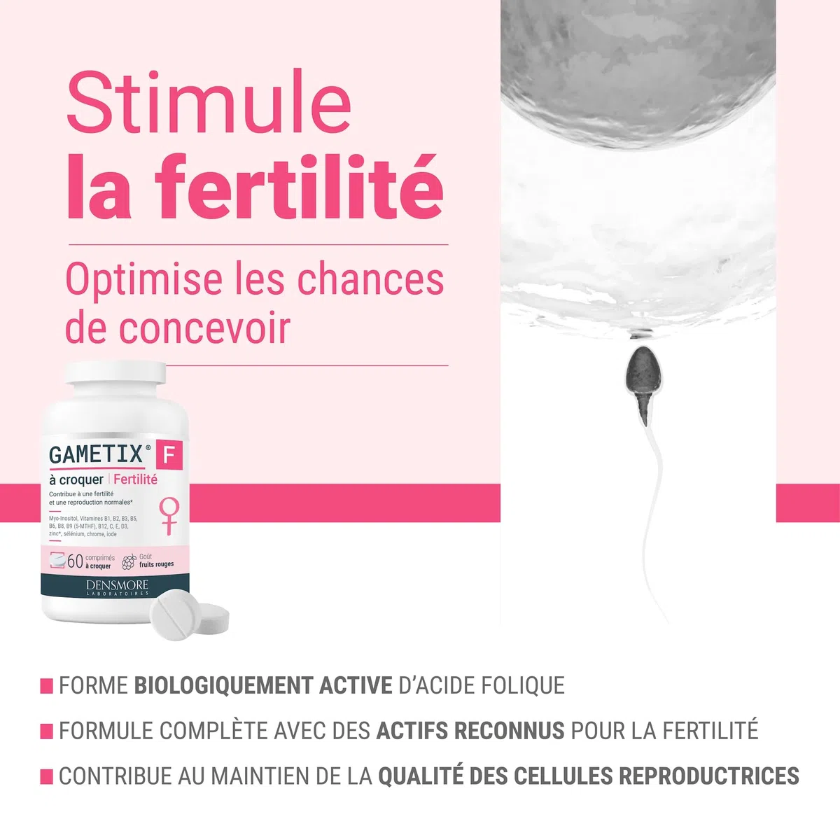 Densmore - GAMETIX F à Croquer - Complément Alimentaire Fertilité Féminine à base de Myo-Inositol, Acide Folique (Vitamine B9), Zinc, Vitamines - Goût Fruits Rouges - 60 Comprimés - Fabriqué en France