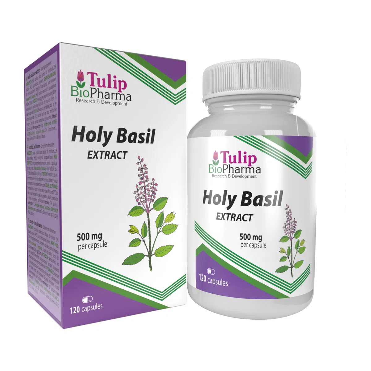 Basilic Tulsi sacré 5000mg Equivalent (500mg d'extrait 10:1) 120 Capsules, très fort, sans gluten, sans OGM, sans agent de remplissage
