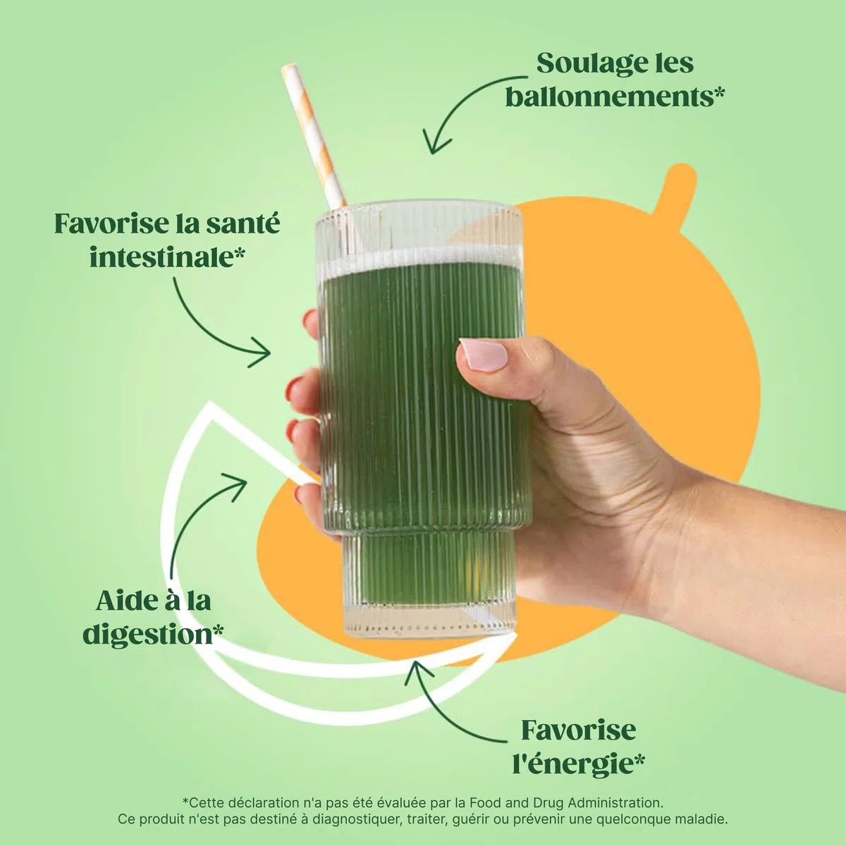 Bloom Superfood Powder Women - mangue - Avec probiotiques, enzymes, spiruline, chlorella - Favorise la santé intestinale, la désintoxication et l'énergie - Anti-bloating - 25 portions - Smoothie Boost