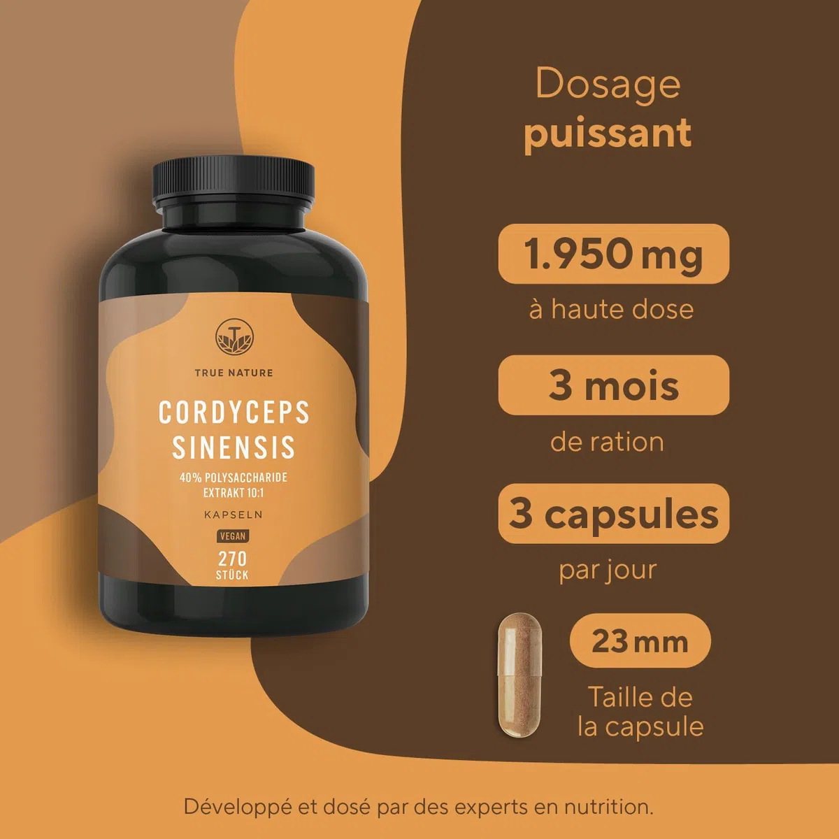 Cordyceps – 6.500 mg CS-4 (10:1) par unité | 270 Gélules pour 3 Mois | Vitalité, Énergie, Immunité | 40 % de Polysaccharides | Vegan, Sans Additifs, Gluten & Lactose – TRUE NATURE