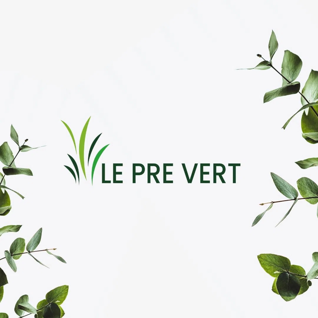 ASCORBATE DE SODIUM 100% pur - Pot 1 KG - Le Pré Vert - Energie - Immunité - Antioxydant