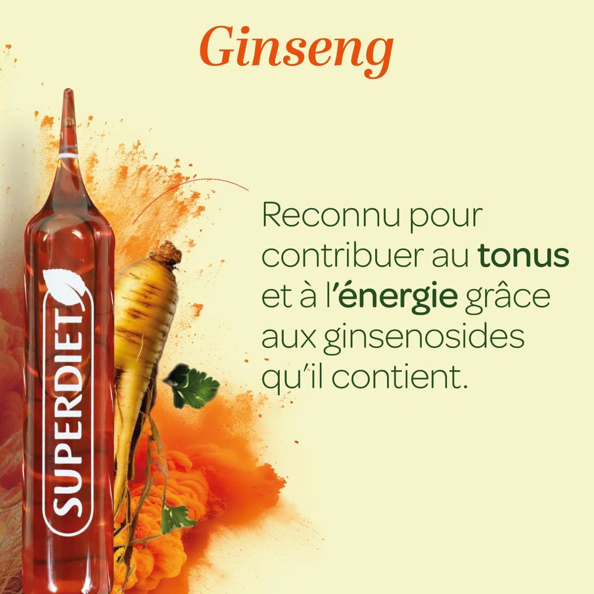 SUPERDIET – GINSENG BIO – Énergie & Dynamisme – Phytothérapie – Fabrication française – 20 ampoules de 10 ml