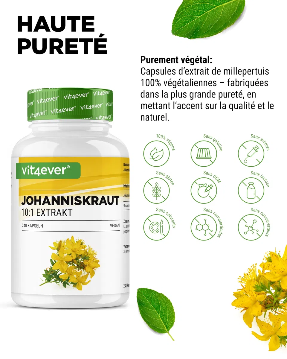 Millepertuis -240 capsules avec 500 mg d'Extrait fabriqué à partir de 5000 mg de Millepertuis pur - Extrait Naturel 10:1 - Hautement Dosé - Vegan