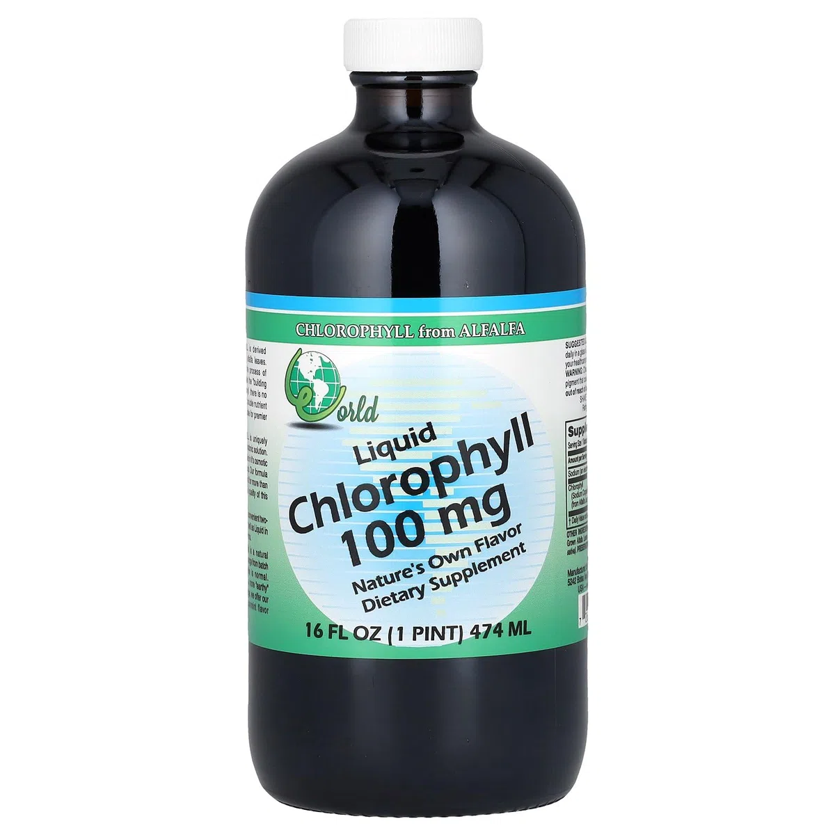WORLD ORGANIC, CHOLORPHYLL,100MG 16 OZ EA 1