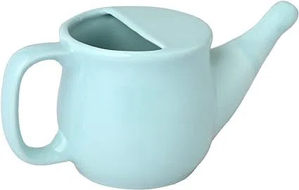 Ancient Impex Pot Neti en céramique 400 ml Vert menthe – Pot de nettoyage nasal anti-déversement avec 5 sachets de sel de Neti, passe au micro-ondes, kit ayurvédique Jala Neti pour soulager les sinus