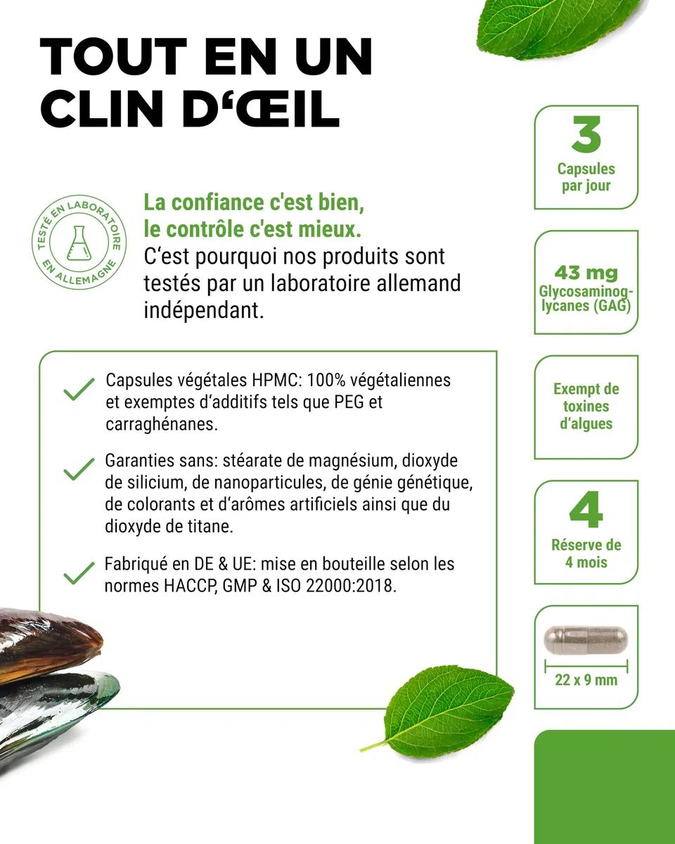 Moules aux Orles Verts - 365 capsules de 600 mg - Avec Glycosaminoglycanes - Extrait Hautement Dosé - 100% Poudre de Moules aux Orles Verts de Nouvelle-Zélande, sans Additifs.