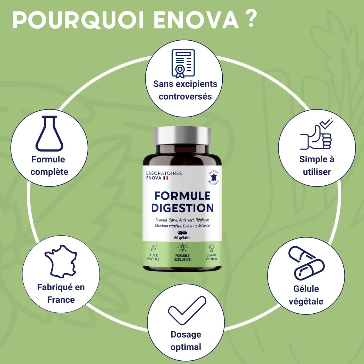 FORMULE DIGESTION | Digestion, Transit, Constipation, Detox Colon | Fenouil, Carvi, Anis vert, Réglisse, Charbon, Mélisse | 60 Gélules | Complement Alimentaire | Fabriqué en France