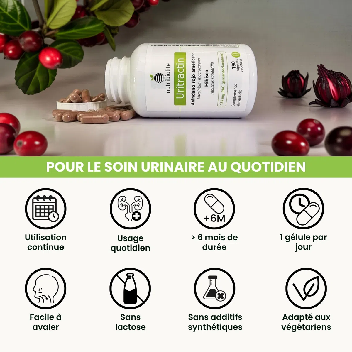 Canneberge gelules Cranberry avec Hibiscus 125 mg de PAC Proanthocyanidines - Confort Urinaire - 190 Gélules - Sans Additifs +6 Mois | Uritractin Nutribiolite