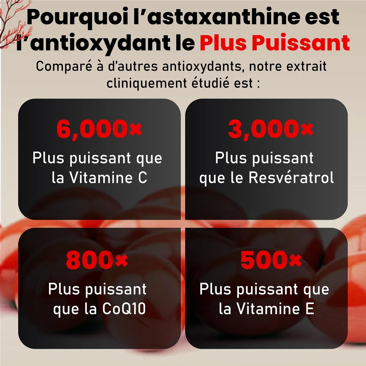 Super astaxanthine biologique – Forte dose et absorption 4 fois supérieure | Certifié biologique à l'huile d'olive grecque | Végan, testé en laboratoire, sans additifs – H4H Naturals