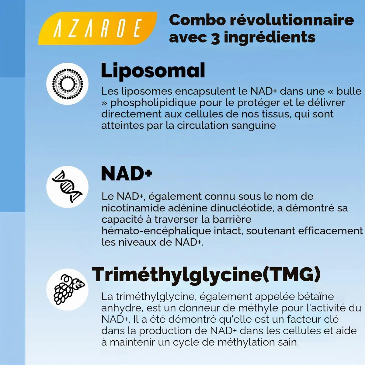Liposomales NAD+ Gélules 500 mg avec TMG 250 mg, soutient l'énergie cellulaire, 60 gélules (60 Unité (Lot de 2))