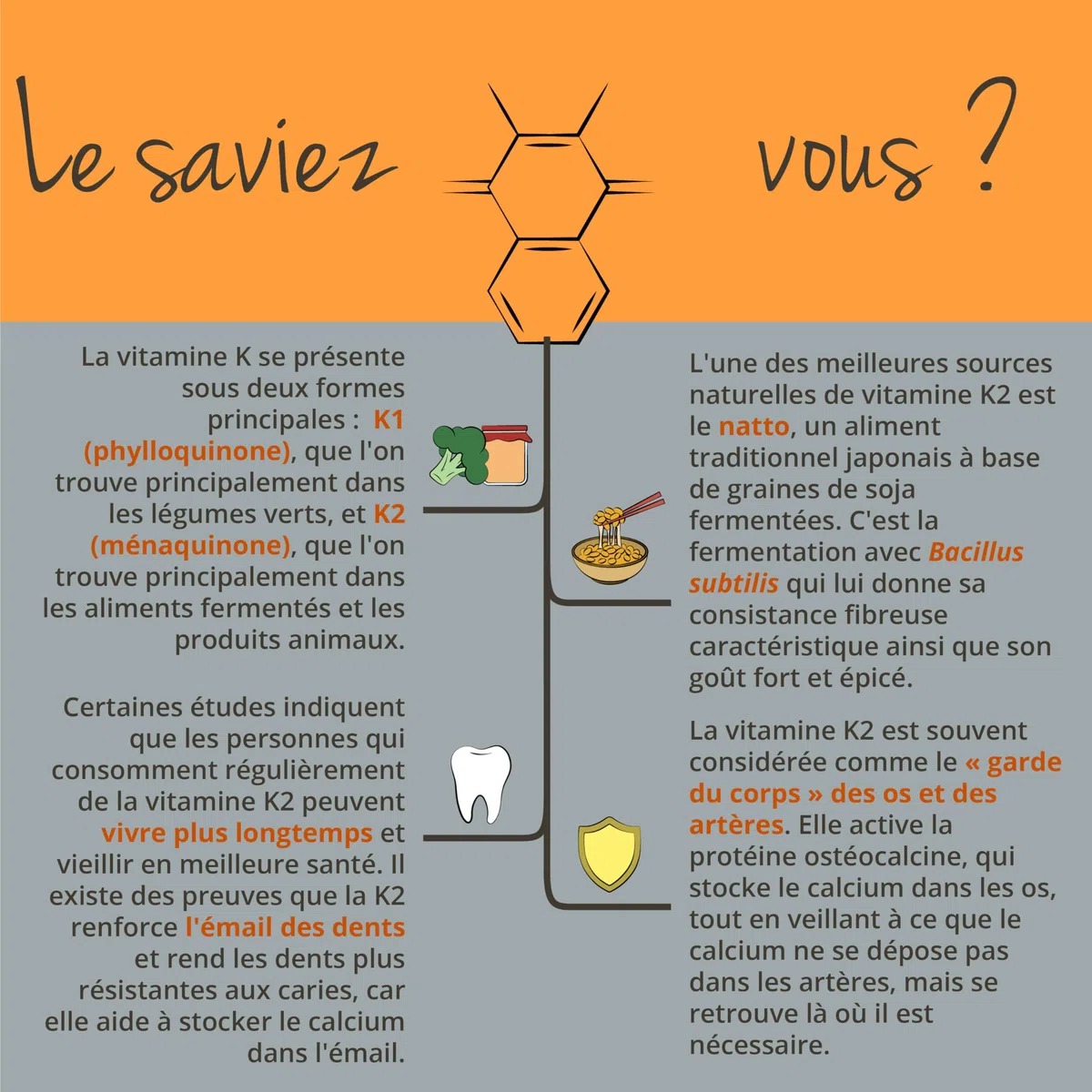 Vitamine K2 MK7 All-trans + Calcium | Dosage Elevé : 200 mcg Vit K2 | Le Seul Sans Additif | Coagulant Sang + Anti Inflammatoire | Vegavero®