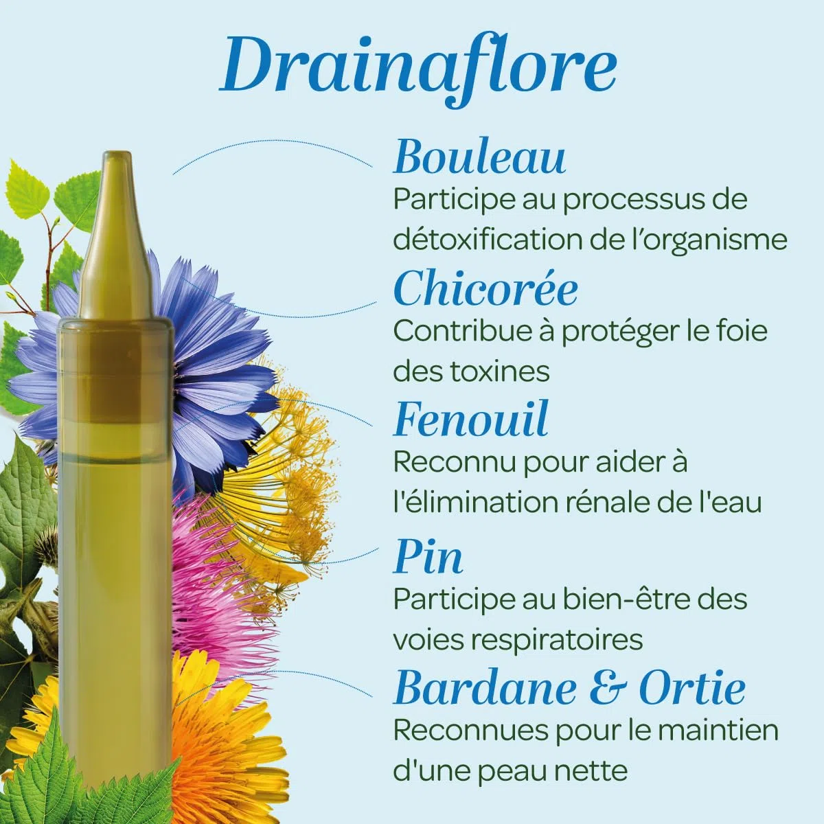 SUPERDIET- DRAINAFLORE BIO - Programme complet de détoxification des 5 émonctoires - Made in France -Format nomade-20 Unidoses de 15 ml