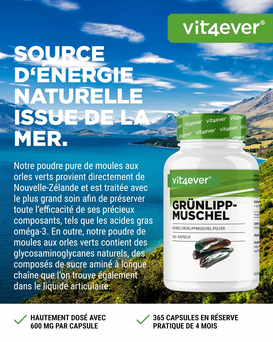 Moules aux Orles Verts - 365 capsules de 600 mg - Avec Glycosaminoglycanes - Extrait Hautement Dosé - 100% Poudre de Moules aux Orles Verts de Nouvelle-Zélande, sans Additifs.