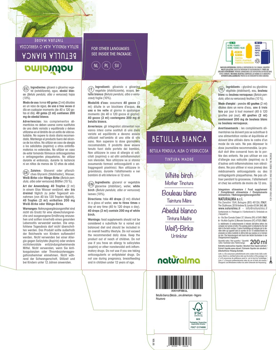 Bouleau blanc ou Bouleau verruqueux (Betula pendula, alba ou verrucosa) feuilles Teinture Mère sans alcool Naturalma - Extrait liquide gouttes 200 ml - Complément alimentaire - Végétalien ou végan