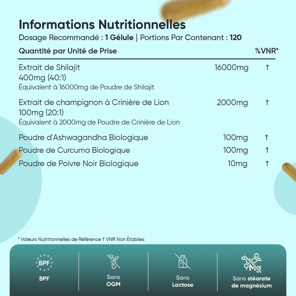 Shilajit Gelules 18210mg, Shilajit Himalaya Complexe 120 Gélules Vegan, Ashwagandha Bio, Curcuma Bio, Champignon Crinière de Lion et Poivre Noir, Riche en Acide Fulvique, Acide Humique et Minéraux