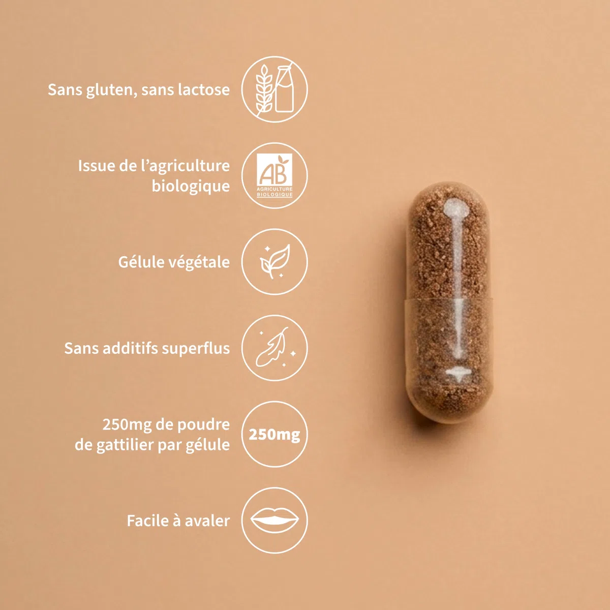 Gattilier Bio 250 mg - 60 gélules - Confort menstruel & équilibre au quotidien - Complément alimentaire