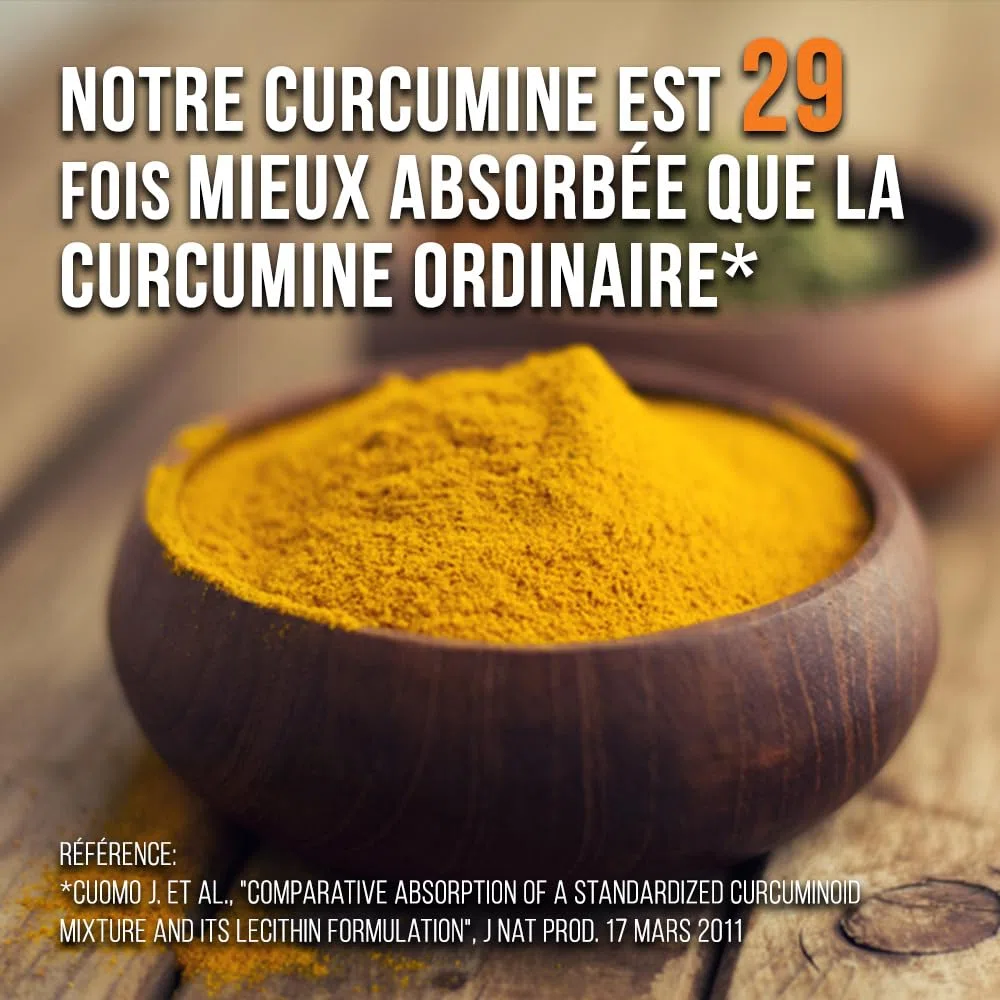 Intelligent Labs Meriva Phytosome de Curcumine 250 MG | Supplément de curcumine de curcuma à absorption avancée (2900% mieux absorbé que le curcuma ordinaire) | 120 gélules végétariennes